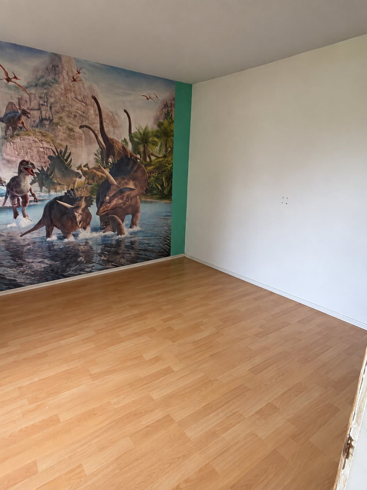 Geräumtes Zimmer nach der Entrümpelung — leerer Boden, nichts blieb stehen